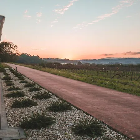 Alma Candida 11 Valenca