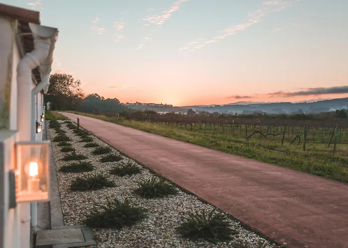 Alma Candida 11 فالينسا